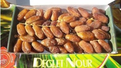 Photo of Exportation: vers une position tarifaire douanière spécifique pour « Deglet Nour »