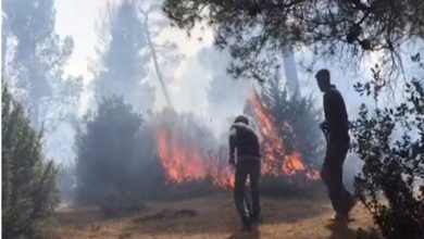 Photo of 15 morts dans 97 incendies enregistrés à travers 16 wilayas