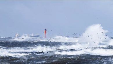 Photo of Exercices en mer Baltique: l’Otan transforme la région en « un lieu de confrontation »
