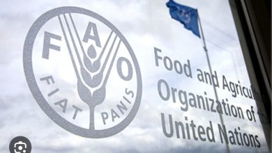 Photo of FAO : l’indice des prix des produits alimentaires reste quasi stable en septembre