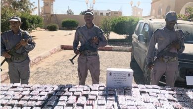 Photo of Douanes : Saisie de plus de 82.000 comprimés psychotropes à El-Oued