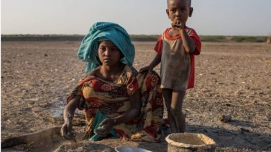 Photo of Sécheresse en Ethiopie: L’ONU tire la sonnette d’alarme sur l’ »aggravation » de la crise humanitaire dans le pays