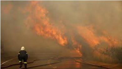 Photo of Incendies en Afrique du Sud : Deux morts et près de 2.000 sans-abris