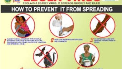 Photo of 10 pays africains risquent d’être touchés par Ebola